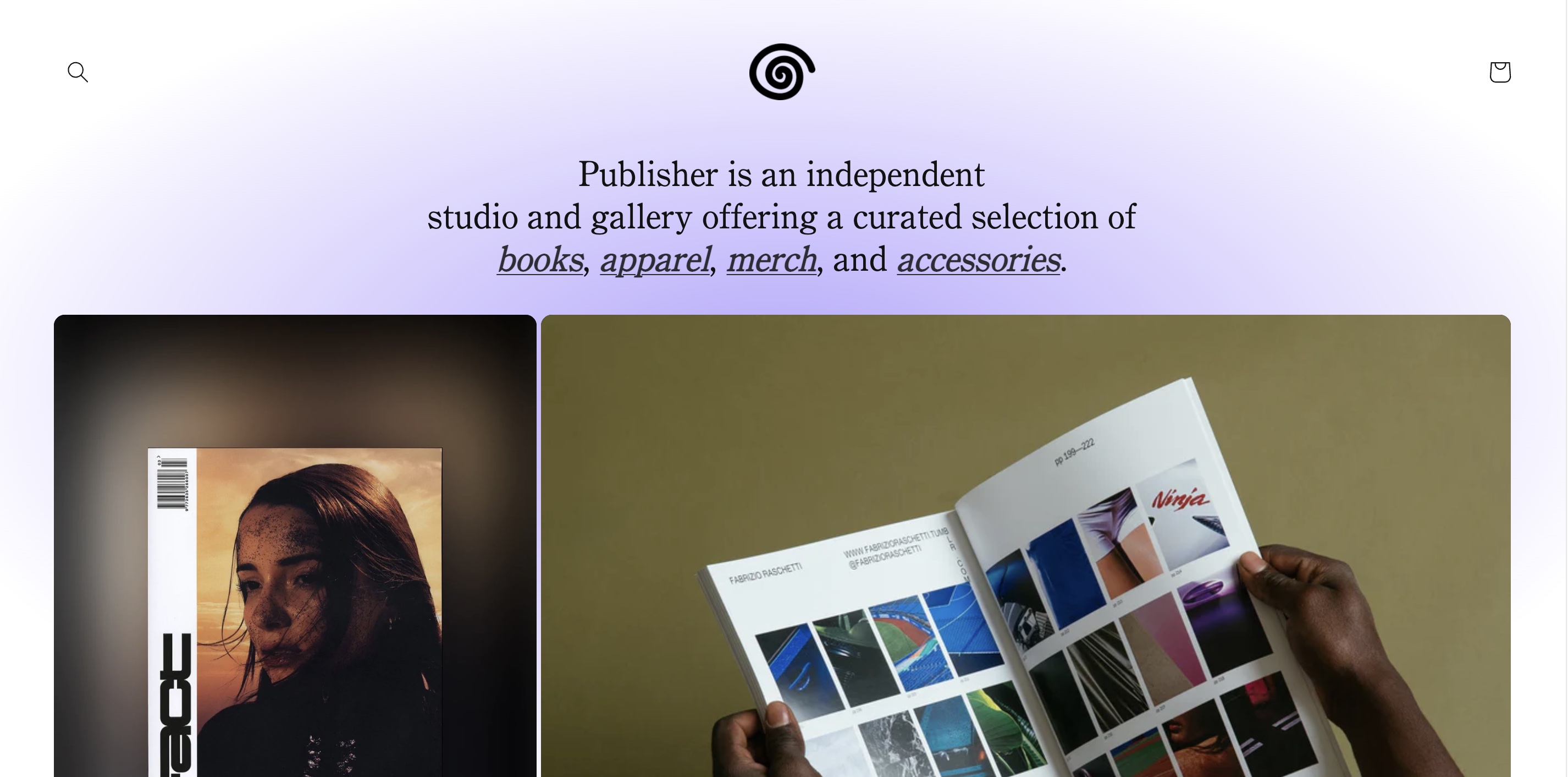 publisher shopify theme for service